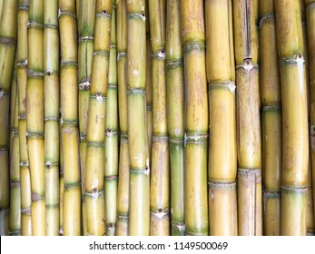 15,182 Sugarcane texture Images, Stock Photos & Vectors | Shutterstock