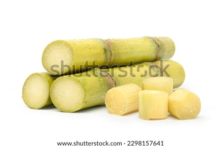 Fresh sugar cane isolated on white background.