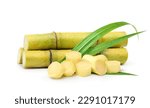 Fresh sugar cane stalks with sliced isolated on white background.