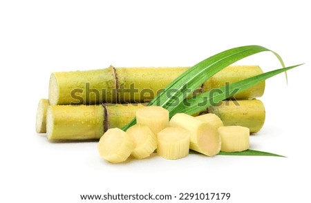 Fresh sugar cane stalks with sliced isolated on white background.