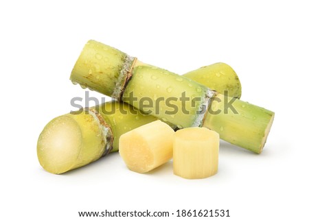Fresh sugar cane with water droplets and sliced isolated on white background.