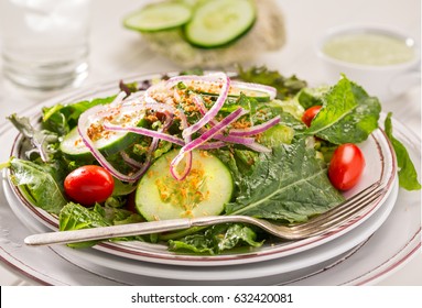 Fresh Summer Garden Salad