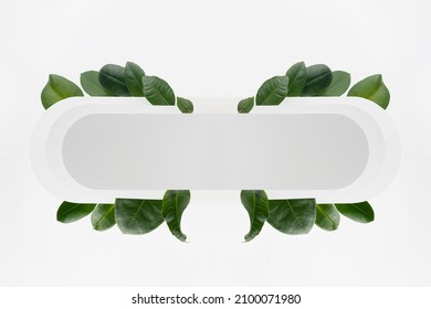 Fresh summer holiday abstract symmetric figure of white rounded horizontal rectangle stripe with tropical green leaves, blank frame for design, text, branding, advertising in eco simple modern style.