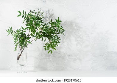 Fresh Summer Interior With Green Leaves In Glass Vase In Sun Light With Shadow On White Marble Tile Wall, Wood Table, Copy Space.