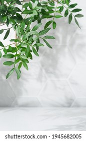 Fresh Summer Interior With Green Leaves In Sun Light With Shadow On White Marble Tile Wall, Wood Table, Copy Space, Vertical.