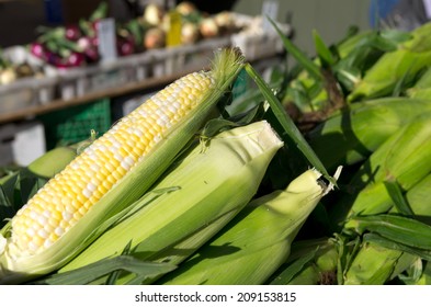 Fresh Sweet Corn