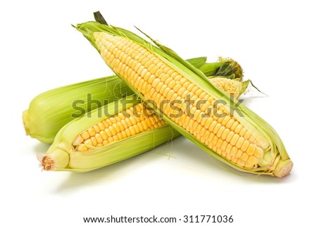Fresh sweet corn cob with green leaves