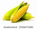 A fresh sweet corn isolated on white background. A close-up view of the corn