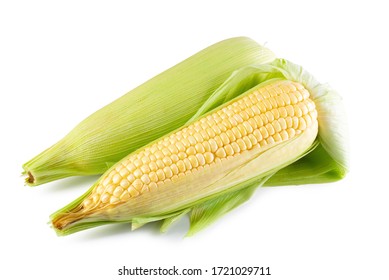 Fresh sweet corn isolated on white background.