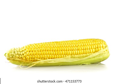 Fresh Sweet Corn Isolated On White Background