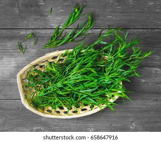 Fresh tarragon herb in a wicker basket. Tarragon herb on gray old wooden background. Top view, blank space. 