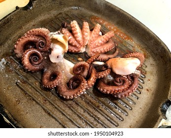 Fresh And Tasty Grilled Octopus In Puglia Region, Italy