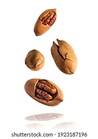 Fresh tasty pecan nuts falling in the air isolated on white background. Food levitation concept. High resolution image.