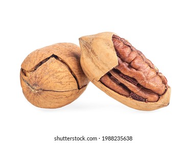 Fresh tasty pecan nuts isolated on a white background. Whole and cracked pecans.