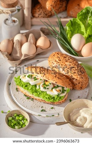 Fresh and tasty sandwich with eggs and mayonnaise. Sandwich for healthy breakfast.