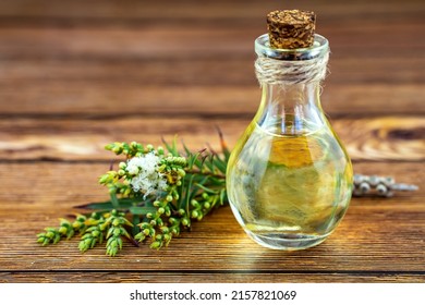 Fresh Tea Tree Branch And Essential Oil On A Wooden Table. Tea Tree Oil (Melaleuca Alternifolia)