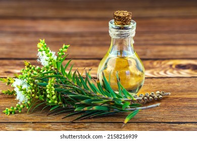 Fresh Tea Tree Branch And Essential Oil On A Wooden Table. Tea Tree Oil (Melaleuca Alternifolia)