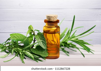 Fresh Tea Tree And Essential Oil