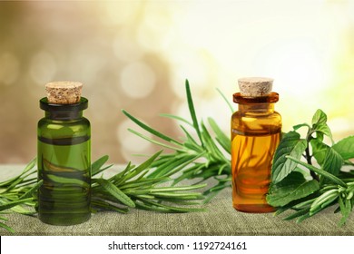 Fresh Tea Tree And Essential Oil