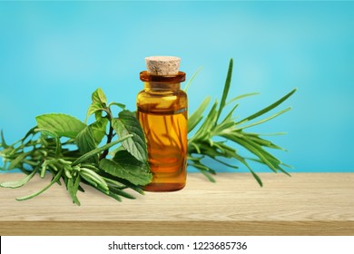 Fresh Tea Tree And Essential Oil