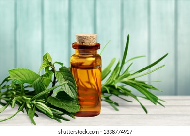 Fresh Tea Tree And Essential Oil