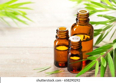 Fresh Tea Tree Leaves And Essential Oil