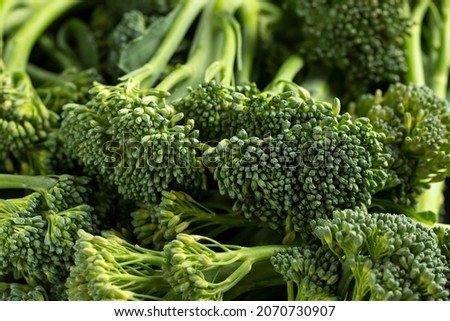 Fresh Tenderstem broccoli for diet and healthy eating.