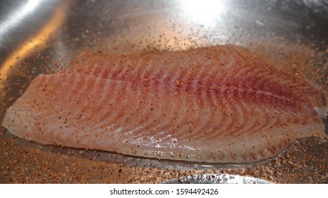 Fresh Thawed Tilapia In Sink Seasoned With Creole Seasoning