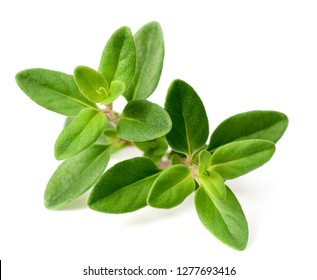 fresh thyme herb isolated on the white background - Shutterstock ID 1277693416