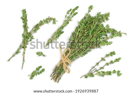 fresh thyme isolated on a white background with clipping path and full depth of field, Top view. Flat lay