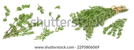 fresh thyme isolated on a white background with full depth of field, Top view. Flat lay