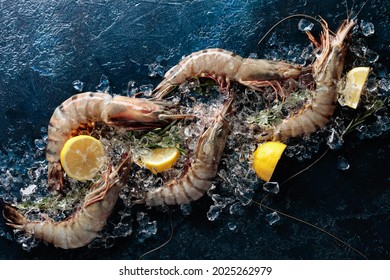 Fresh tiger prawns with lemon, rosemary and crushed ice on a dark blue background, top view with copy space.