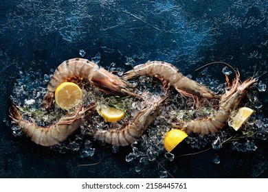 Fresh tiger prawns with lemon, rosemary and crushed ice on a dark blue background, top view with copy space.