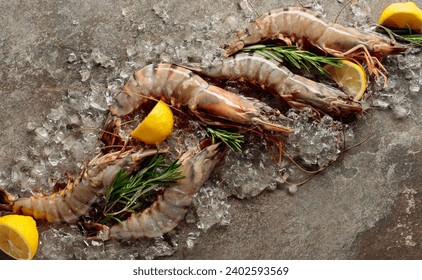 Fresh tiger prawns with lemon, rosemary and crushed ice, top view with copy space.