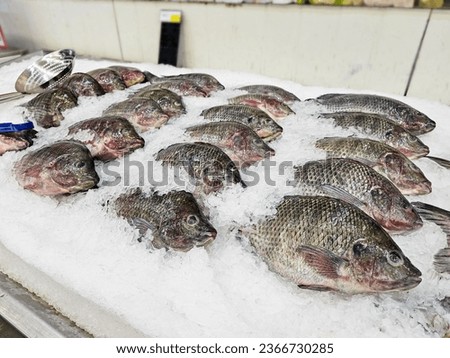 Fresh Tilapia fish on ice sold in supermarkets. Fish Raw on ice at the fish market. Seafood in the shop, Product Display Shelf.	