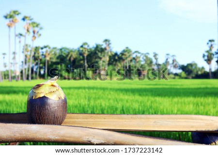 Fresh toddy palm place on dry leaves, with rice field and sugar plam tree or palmyra palm as a beautiful background in Pathum Thani province, Thailand.
