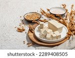 Fresh Tofu cheese with soybeans. Cube pieces, healthy ingredient for vegan lifestyle, modern stand, trendy hard light, dark shadow. Plaster background, flat lay, copy space