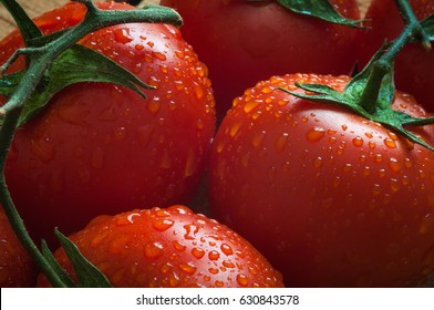 Fresh Tomatoes
