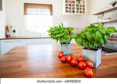 Fresh Tomatoes And Basil On The Kitchen Counter Top With Kitchen Interior Blurred In The Background