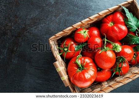 Fresh tomatoes in basket on dark background. Harvesting tomatoes. Top view close up