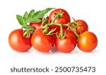 Fresh Tomatoes with green leaves. Tomato vegetables brunch. Vegetable tomatoes isolated on white background. Organic natural farm grown food harvest