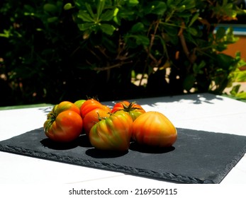 Fresh tomatoes on a black stone board, on a bench in the garden in the rays of sunlight, against the backdrop of green plants.