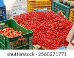 Fresh tomatoes and red peppers on sale in a market near Kathmandu