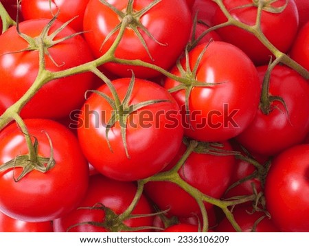A lot of fresh tomatoes stacked on top of each other, full filled frame, overhead studio shot top view 