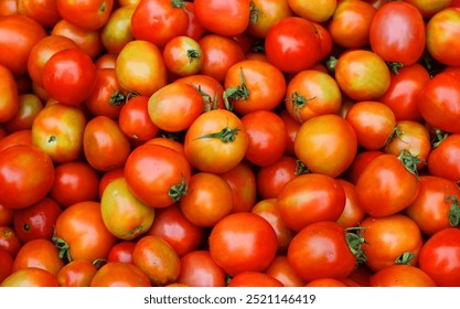 Fresh tomatoes. A vibrant close-up of freshly picked tomatoes, showcasing their rich red and orange hues. Fresh produce, healthy eating, and farm-to-table concepts. - Powered by Shutterstock