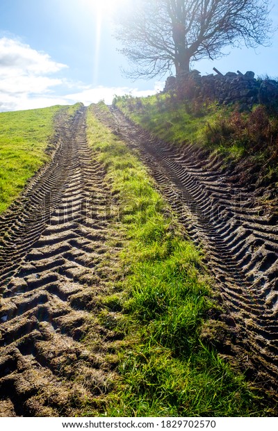 Fresh tractor
track in a filed on a sunny
day