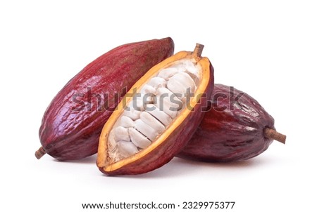 Fresh trinitario cocoa pods with cut in half isolated on white background. Clipping path. 