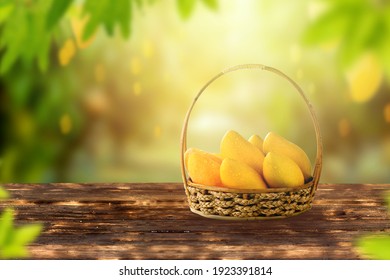 Fresh tropical mango fruits in basket on wooden table with Mangoes tree garden on background