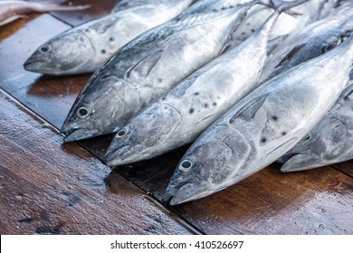 Fresh Tuna