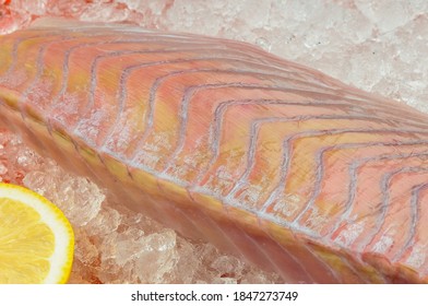 Fresh Tuna Fish Fillet On Ice Macro Photo
